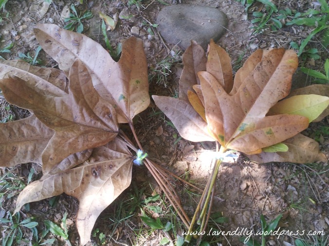 Autumn Leaf bundles